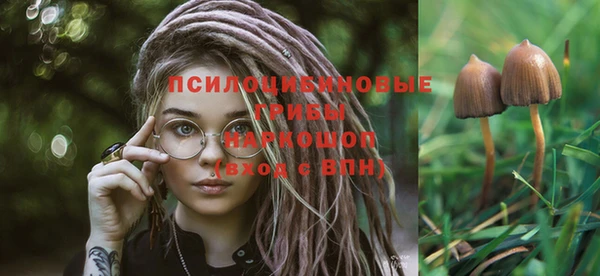 a pvp Зеленодольск