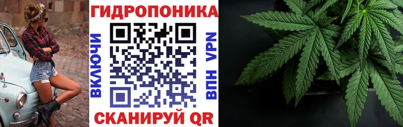 Шишки марихуана Ganja  Купить где  Новоузенск 